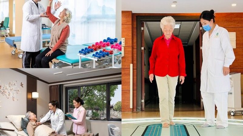养老照护政府购买服务项目分类解析